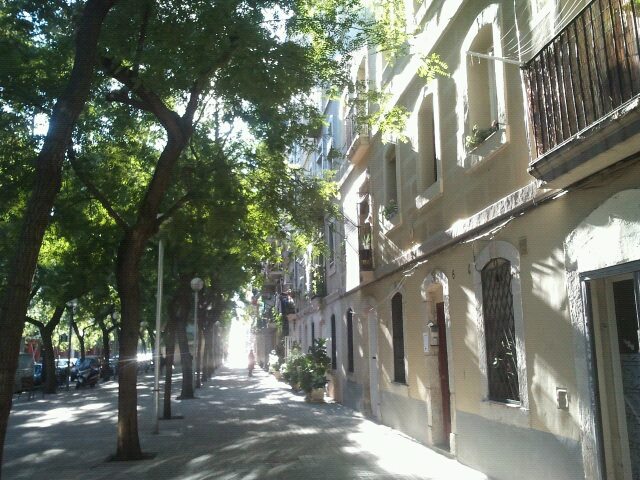 406694_10151082305770408_1031824553_n