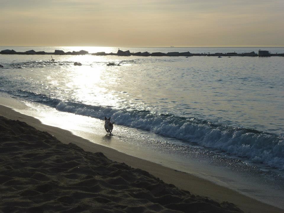 625429_10152697508820408_657499138_n