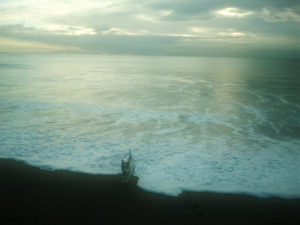 644630_10152564059035408_235977763_n